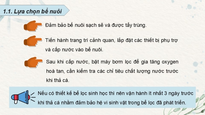 Giáo án điện tử chuyên đề Công nghệ 12 Lâm nghiệp Thuỷ sản Cánh diều Bài 10: Kĩ thuật nuôi dưỡng, chăm sóc một số loại cá cảnh phổ biến