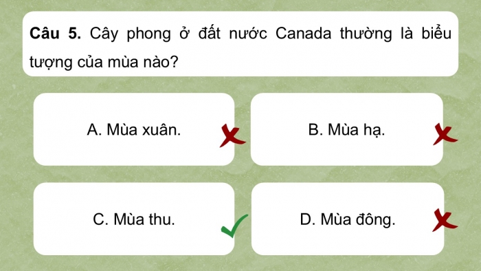 Giáo án điện tử Ngữ văn 9 kết nối Bài 9: Văn hóa hoa – cây cảnh (Trần Quốc Vượng)