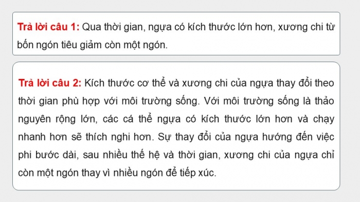 Giáo án điện tử KHTN 9 kết nối - Phân môn Sinh học Bài 49: Khái niệm tiến hóa và các hình thức chọn lọc