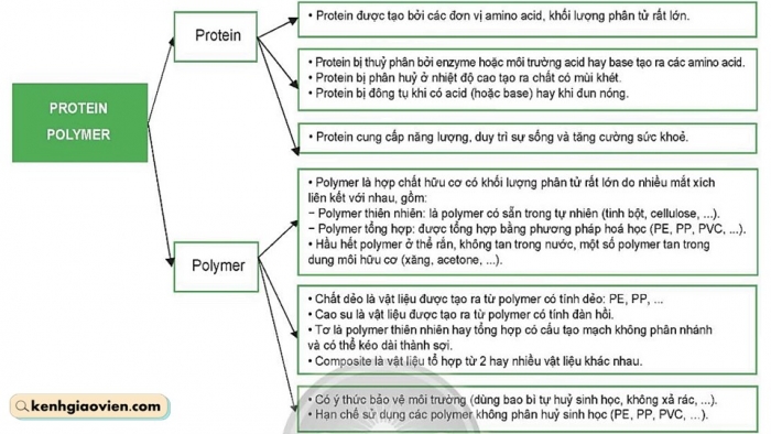 Giáo án điện tử KHTN 9 chân trời - Phân môn Hoá học Bài Ôn tập chủ đề 9