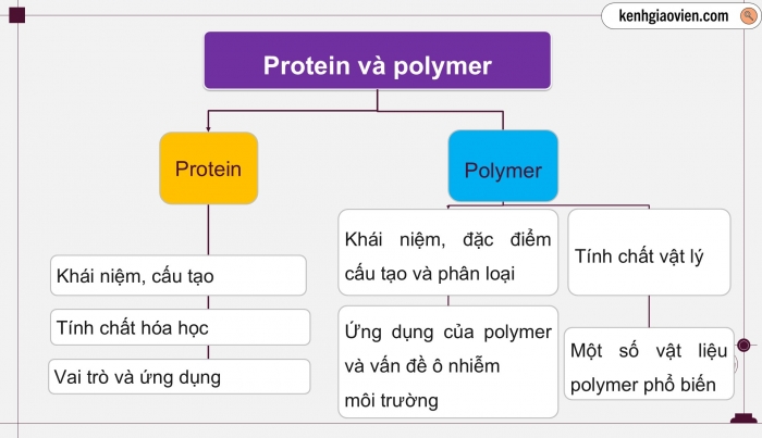 Giáo án điện tử KHTN 9 cánh diều - Phân môn Hoá học Bài tập (Chủ đề 9)