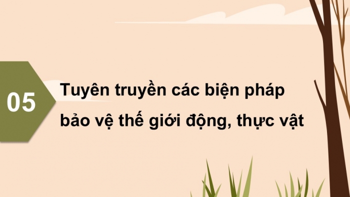 Giáo án điện tử Hoạt động trải nghiệm 12 kết nối Chủ đề 7 Tuần 3