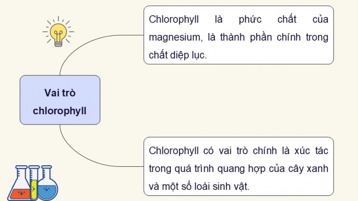 Giáo án điện tử chuyên đề Hoá học 12 chân trời Bài 8: Vai trò và ứng dụng của phức chất