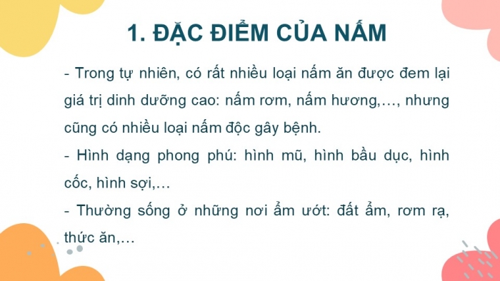 Giáo án PPT KHTN 6 chân trời Bài 28: Nấm