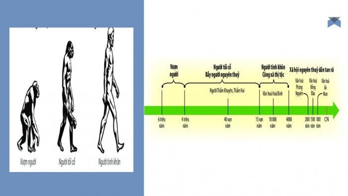 Giáo án PPT Lịch sử 6 kết nối Bài 4: Nguồn gốc loài người
