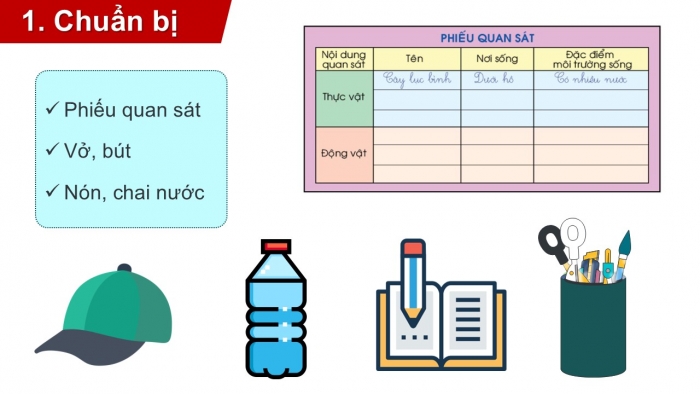 Giáo án PPT Tự nhiên và Xã hội 2 chân trời Bài 17: Thực hành tìm hiểu môi trường sống của thực vật và động vật