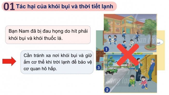 Giáo án PPT Tự nhiên và Xã hội 2 chân trời Bài 22: Chăm sóc, bảo vệ cơ quan hô hấp