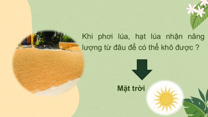 Giáo án PPT KHTN 6 chân trời Bài 42: Bảo toàn năng lượng và sử dụng năng lượng