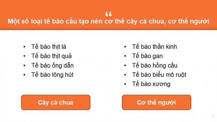 Giáo án PPT KHTN 6 cánh diều Bài 12: Tế bào – đơn vị cơ sở của sự sống