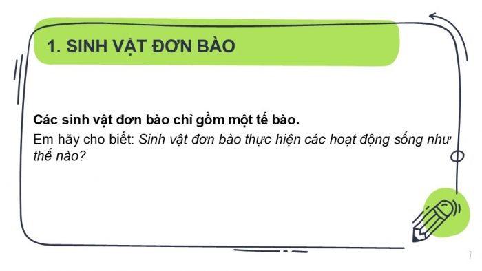 Giáo án PPT KHTN 6 cánh diều Bài 13: Từ tế bào đến cơ thể