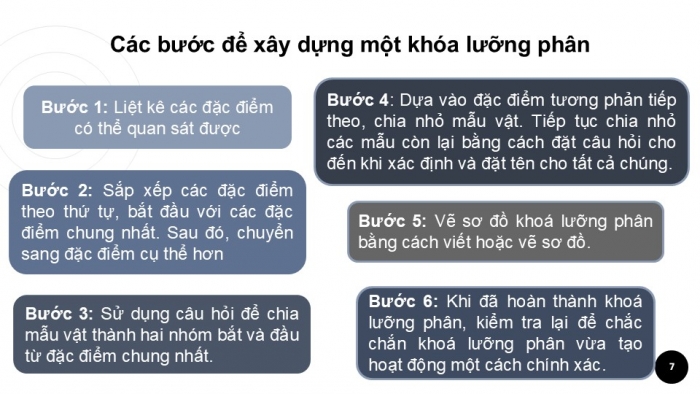 Giáo án PPT KHTN 6 cánh diều Bài 15: Khoá lưỡng phân