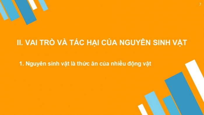 Giáo án PPT KHTN 6 cánh diều Bài 17: Đa dạng nguyên sinh vật