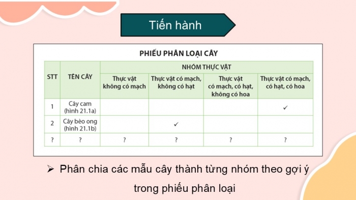 Giáo án PPT KHTN 6 cánh diều Bài 21: Thực hành phân chia các nhóm thực vật