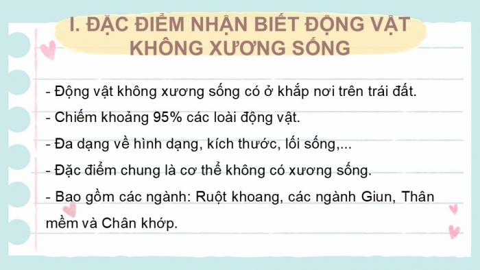 Giáo án PPT KHTN 6 cánh diều Bài 22: Đa dạng động vật không xương sống