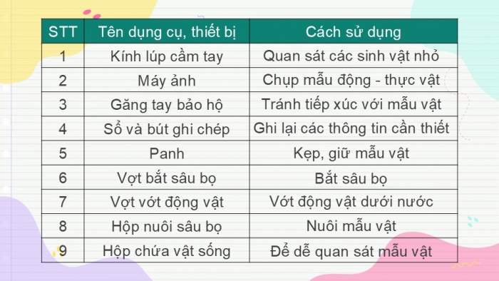 Giáo án PPT KHTN 6 cánh diều Bài 25: Tìm hiểu sinh vật ngoài thiên nhiên