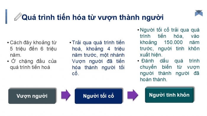 Giáo án PPT Lịch sử 6 cánh diều Bài 3: Nguồn gốc loài người