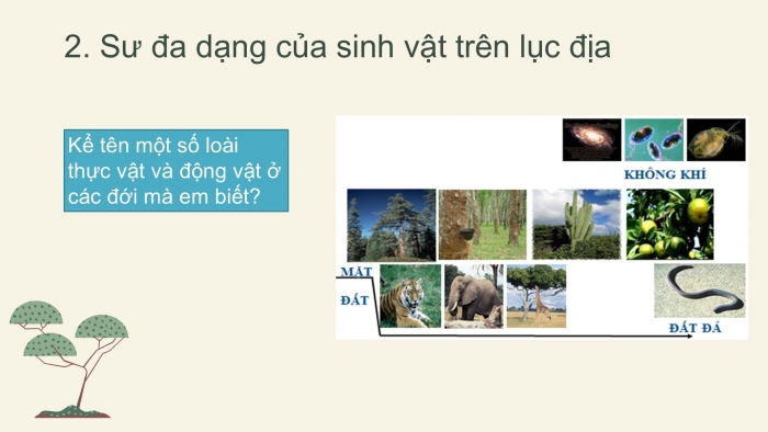 Giáo án PPT Địa lí 6 kết nối Bài 23: Sự sống trên Trái Đất