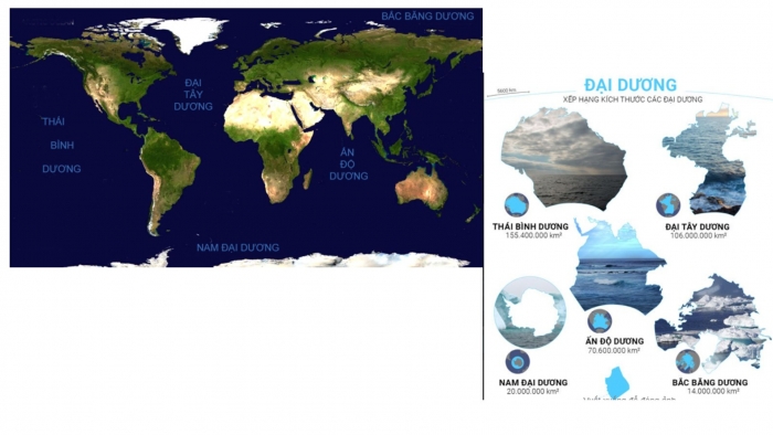 Giáo án PPT Địa lí 6 cánh diều Bài 20 Thực hành: Xác định trên lược đồ các đại dương thế giới