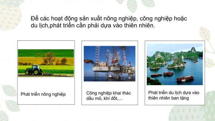 Giáo án PPT Địa lí 6 cánh diều Bài 25: Con người và thiên nhiên