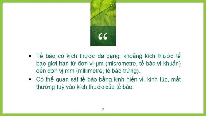 Giáo án PPT KHTN 6 chân trời Bài 17: Tế bào