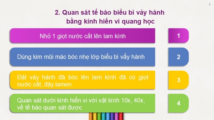 Giáo án PPT KHTN 6 chân trời Bài 18: Thực hành quan sát tế bào thực vật