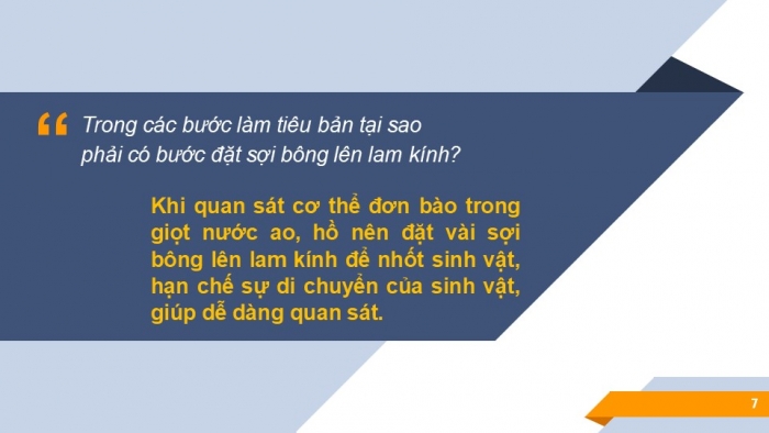 Giáo án PPT KHTN 6 chân trời Bài 21: Thực hành quan sát sinh vật