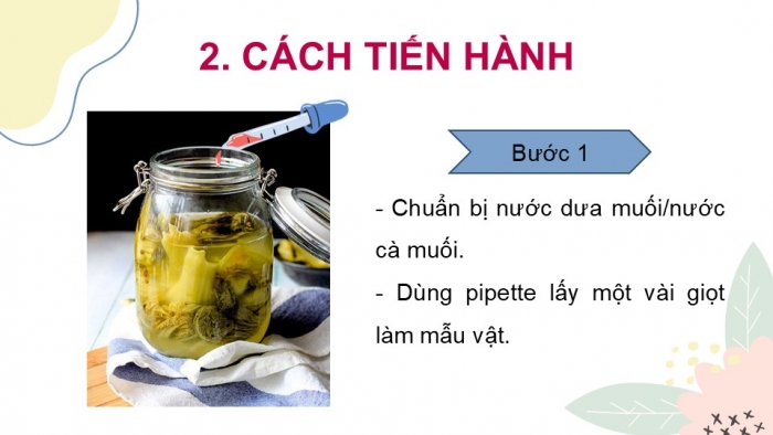 Giáo án PPT KHTN 6 chân trời Bài 26: Thực hành quan sát vi khuẩn. Tìm hiểu các bước làm sữa chua