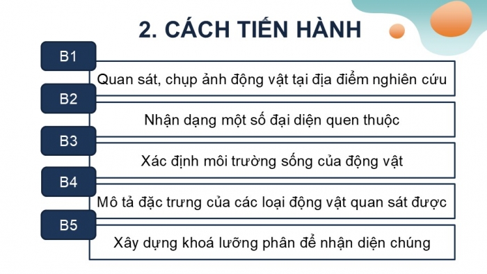 Giáo án PPT KHTN 6 chân trời Bài 32: Thực hành quan sát và phân loại động vật ngoài thiên nhiên