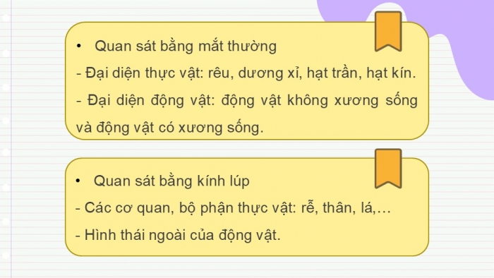 Giáo án PPT KHTN 6 chân trời Bài 34: Tìm hiểu sinh vật ngoài thiên nhiên