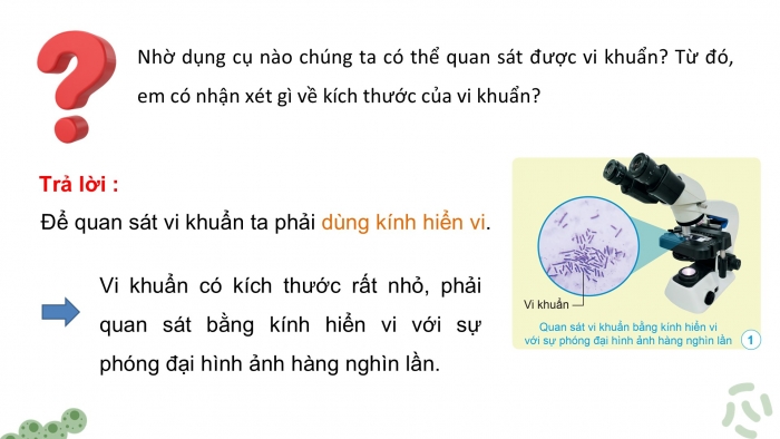 Giáo án điện tử Khoa học 5 cánh diều Bài 12: Vi khuẩn và vi khuẩn gây bệnh ở người