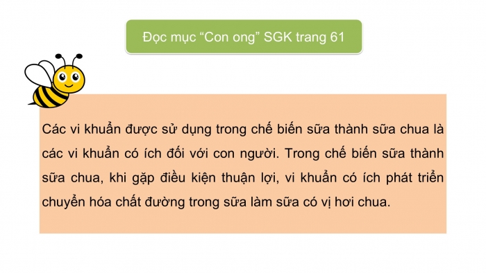 Giáo án điện tử Khoa học 5 cánh diều Bài 13: Vi khuẩn có ích trong chế biến thực phẩm