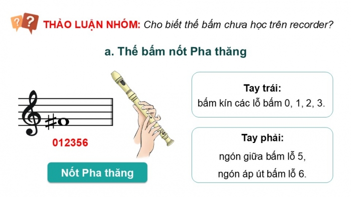 Giáo án điện tử Âm nhạc 9 kết nối Tiết 25: Nhạc cụ Recorder hoặc kèn phím, Thường thức âm nhạc: Đàn đá và đàn đáy