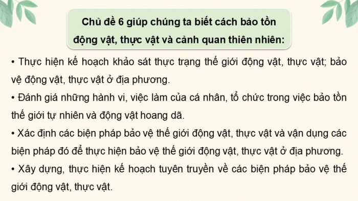 Giáo án điện tử Hoạt động trải nghiệm 12 chân trời bản 2 Chủ đề 6: Bảo tồn động vật, thực vật và cảnh quan thiên nhiên (P1)