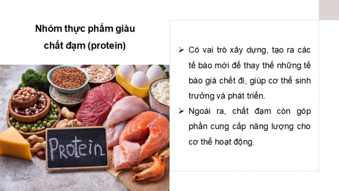 Giáo án PPT Công nghệ 6 chân trời Bài 4: Thực phẩm và dinh dưỡng