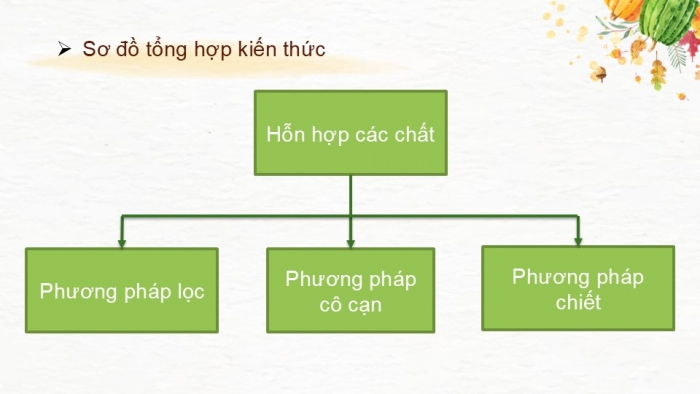 Giáo án PPT KHTN 6 chân trời Ôn tập Chủ đề 5