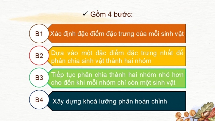 Giáo án PPT KHTN 6 kết nối Bài 26: Khoá lưỡng phân