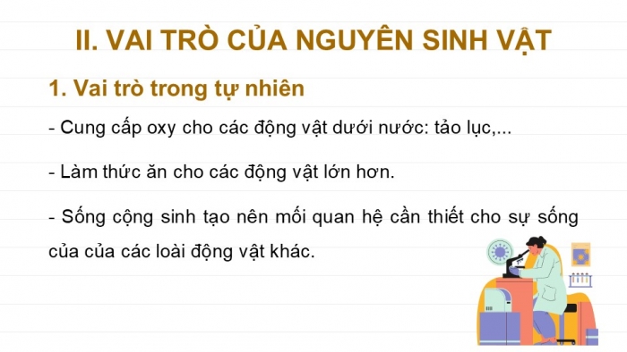 Giáo án PPT KHTN 6 kết nối Bài 30: Nguyên sinh vật