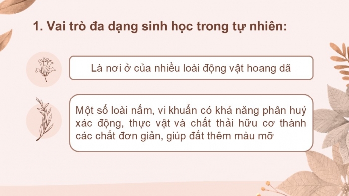 Giáo án PPT KHTN 6 kết nối Bài 38: Đa dạng sinh học