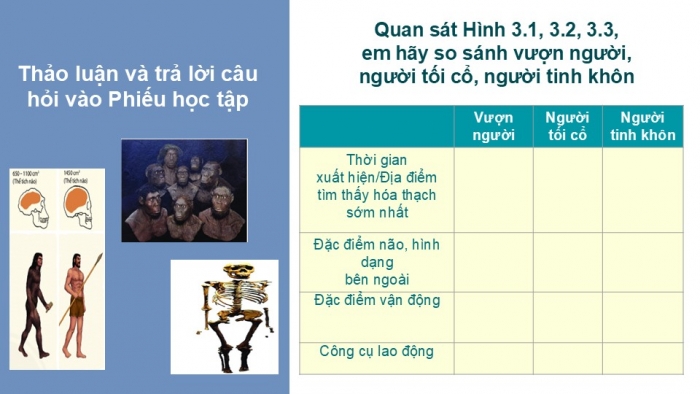 Giáo án PPT Lịch sử 6 chân trời Bài 3: Nguồn gốc loài người