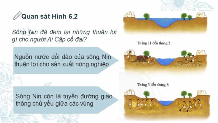 Giáo án PPT Lịch sử 6 chân trời Bài 6: Ai Cập cổ đại