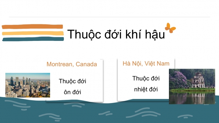 Giáo án PPT Địa lí 6 chân trời Bài 15: Thực hành phân tích biểu đồ nhiệt độ và lượng mưa