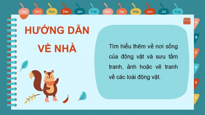 Giáo án PPT Tự nhiên và Xã hội 2 kết nối Bài 17: Động vật sống ở đâu?