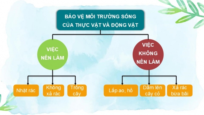 Giáo án PPT Tự nhiên và Xã hội 2 kết nối Bài 19: Thực vật và động vật quanh em