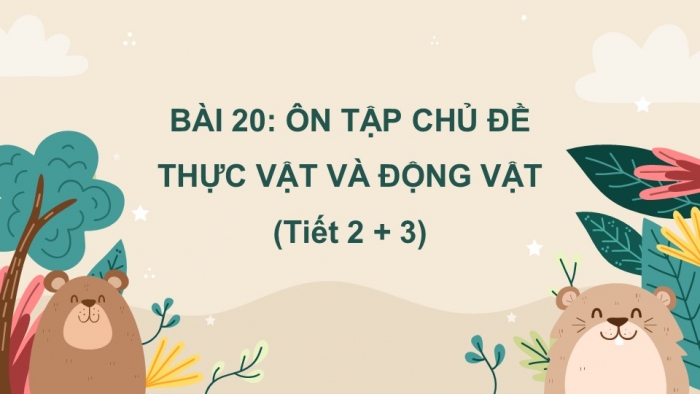 Giáo án PPT Tự nhiên và Xã hội 2 kết nối Bài 20: Ôn tập chủ đề Thực vật và động vật