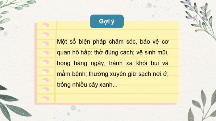 Giáo án PPT Tự nhiên và Xã hội 2 kết nối Bài 24: Chăm sóc, bảo vệ cơ quan hô hấp