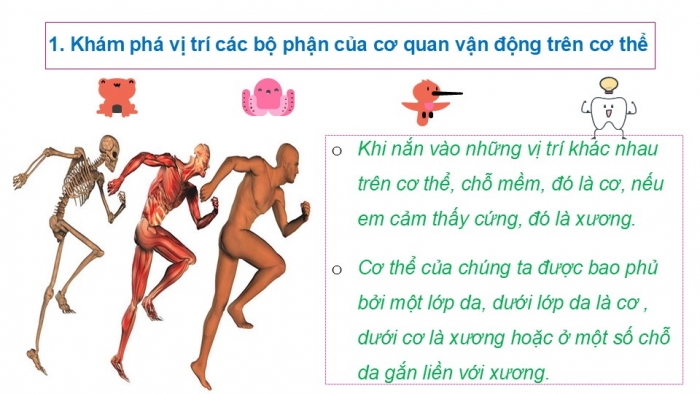 Giáo án PPT Tự nhiên và Xã hội 2 cánh diều Bài 14: Cơ quan vận động