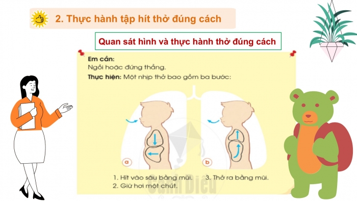 Giáo án PPT Tự nhiên và Xã hội 2 cánh diều Bài 17: Bảo vệ cơ quan hô hấp