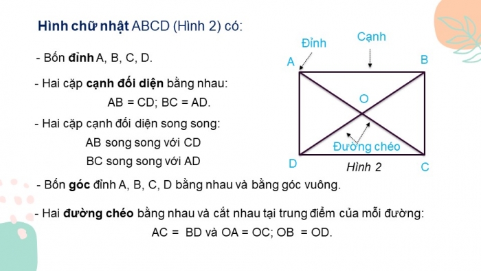 Giáo án PPT Toán 6 chân trời Bài 2: Hình chữ nhật – Hình thoi – Hình bình hành – Hình thang cân