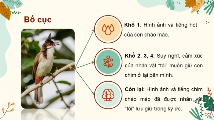 Giáo án PPT Ngữ văn 6 kết nối Bài 3: Con chào mào