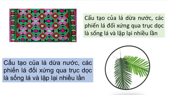 Giáo án PPT Mĩ thuật 2 cánh diều Bài 5: Khu vườn vui vẻ